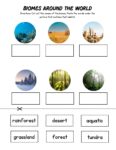 Plants & Animals Packet - Image 2