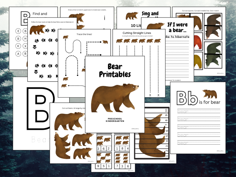 Bear Themed Learning Printables`