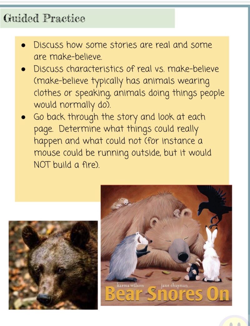 Relating Stories to Real Life (with "Bear Snores On") UNIT PLAN - Image 4