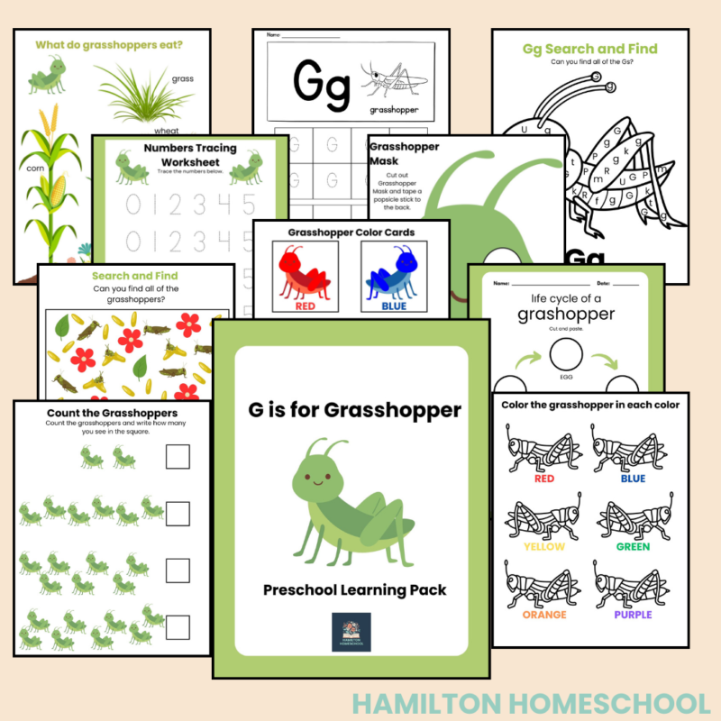 G is for Grasshopper Preschool Activity Bundle