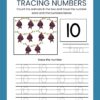 Kindergarten Numbers Workbook Forest Theme - Image 2