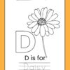 D is for Daisy Preschool Learning Pack - Image 3