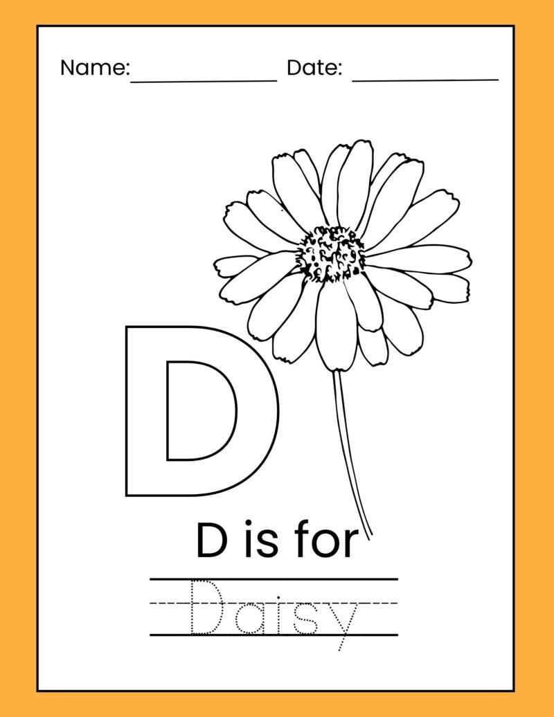 D is for Daisy Preschool Learning Pack - Image 3