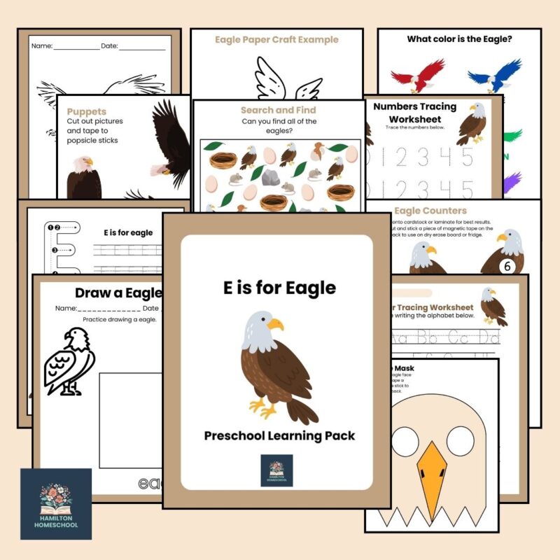 E is for Eagle Preschool Learning Pack