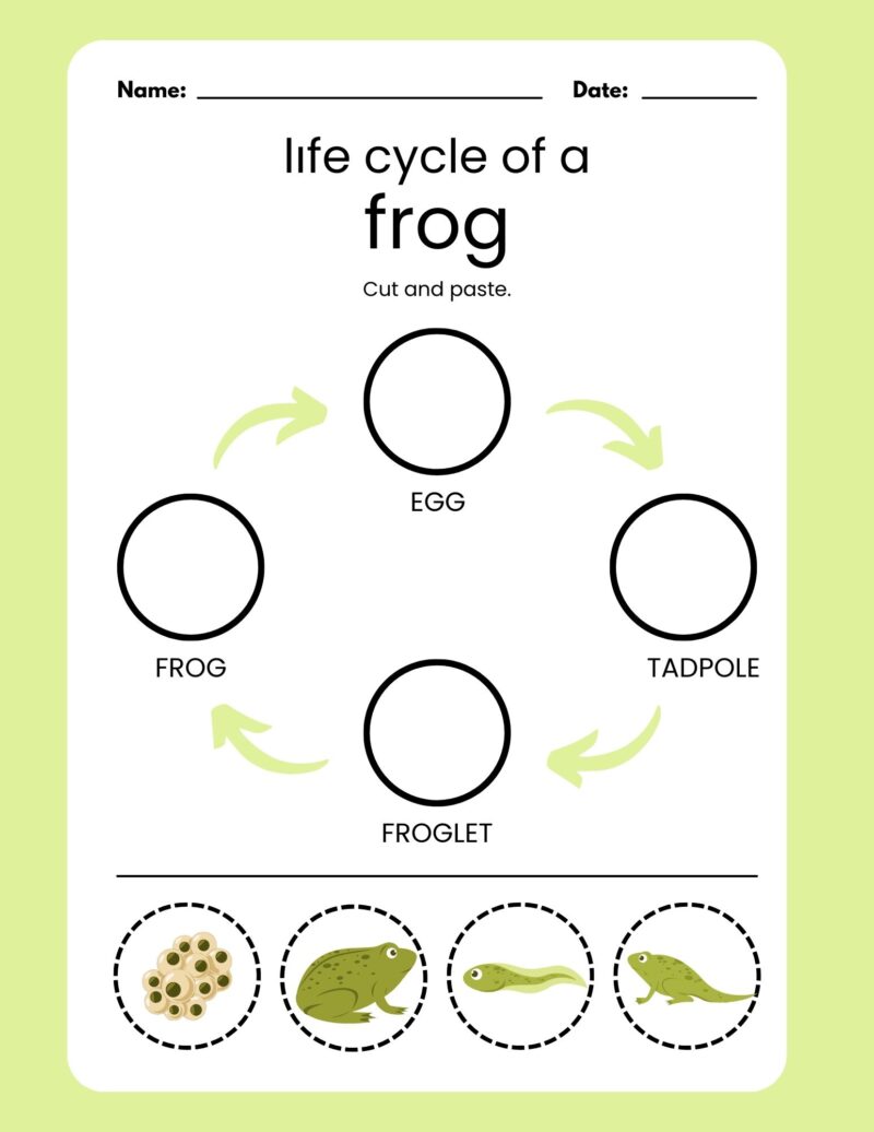 F is for Frog Preschool Learning Pack - Image 4