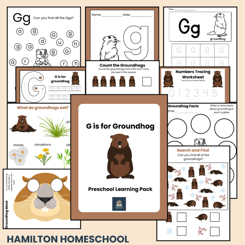 Groundhog Preschool Activity Bundle G is for Groundhog Groundhog Day