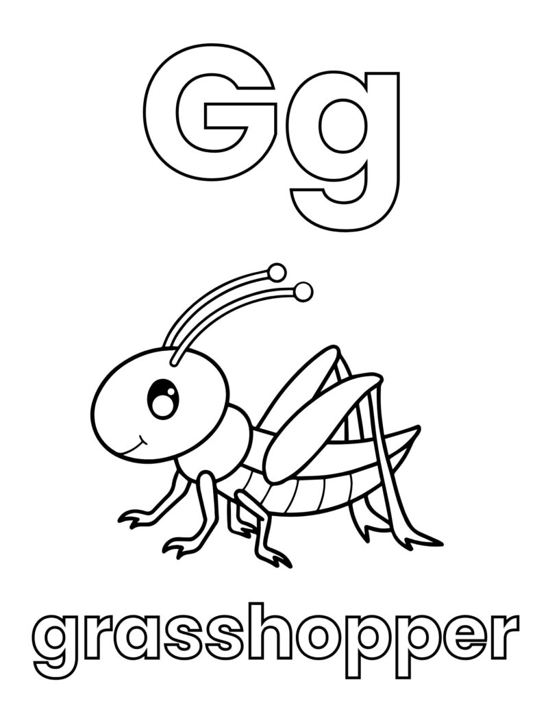 My Alphabet Coloring Book of Animal Creations for Beginners - Image 2