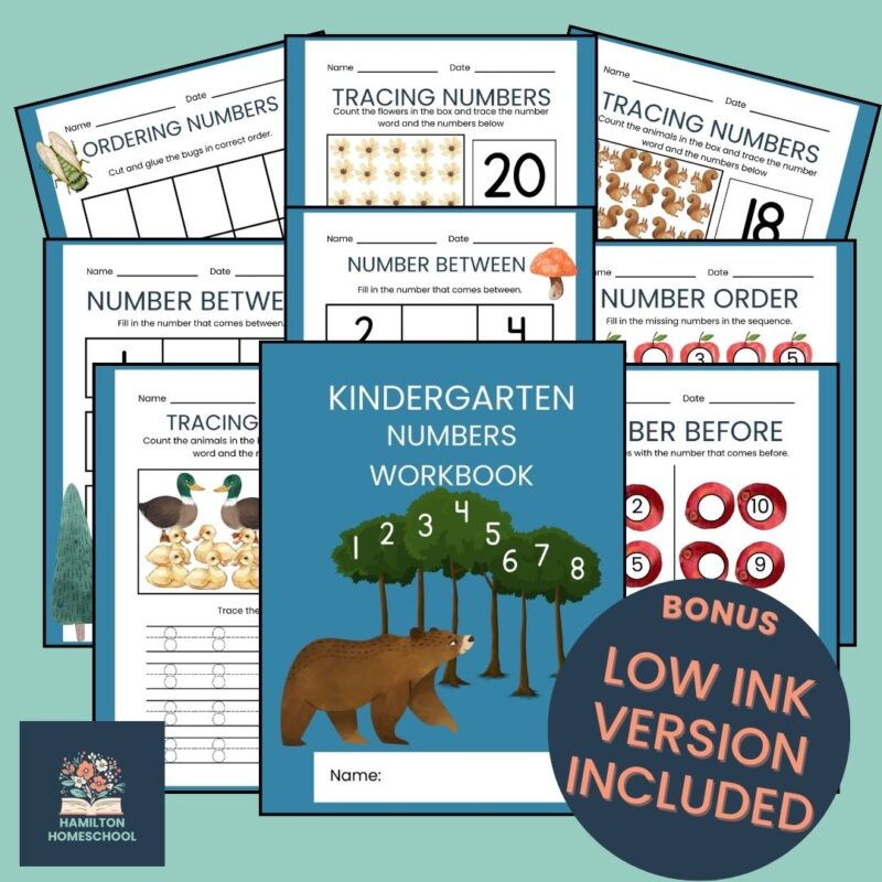 Kindergarten Numbers Workbook Forest Theme