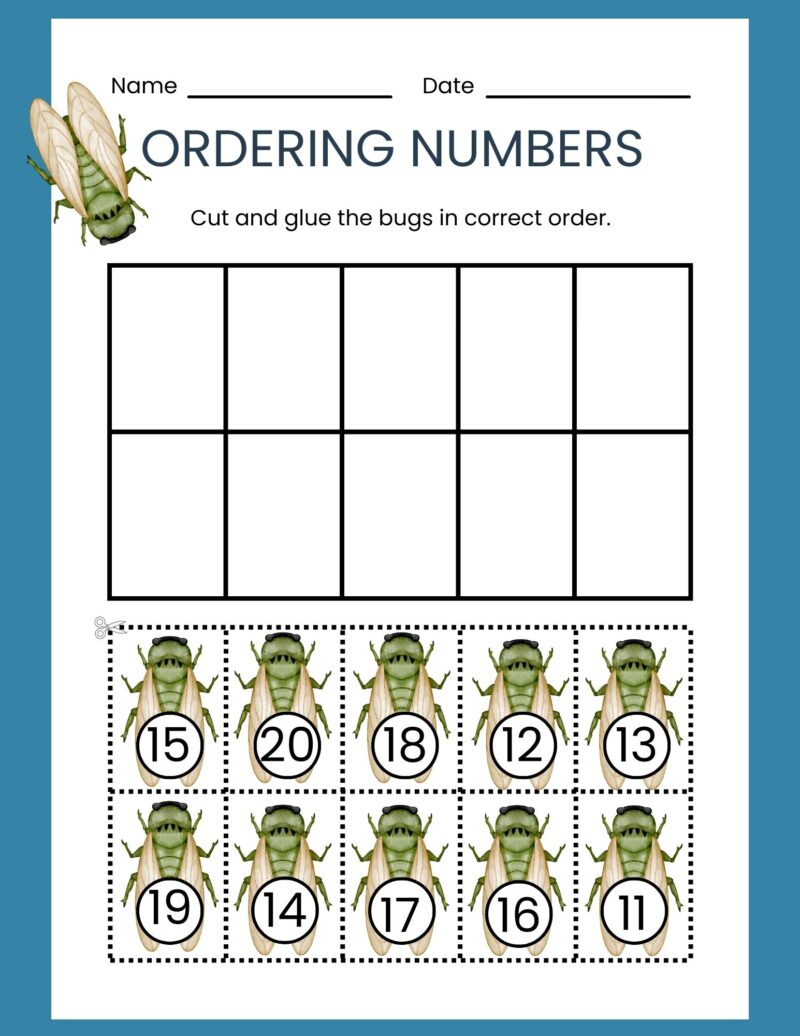 Kindergarten Numbers Workbook Forest Theme - Image 5