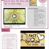 Writing Opinion with The Three Little Pigs - Image 4