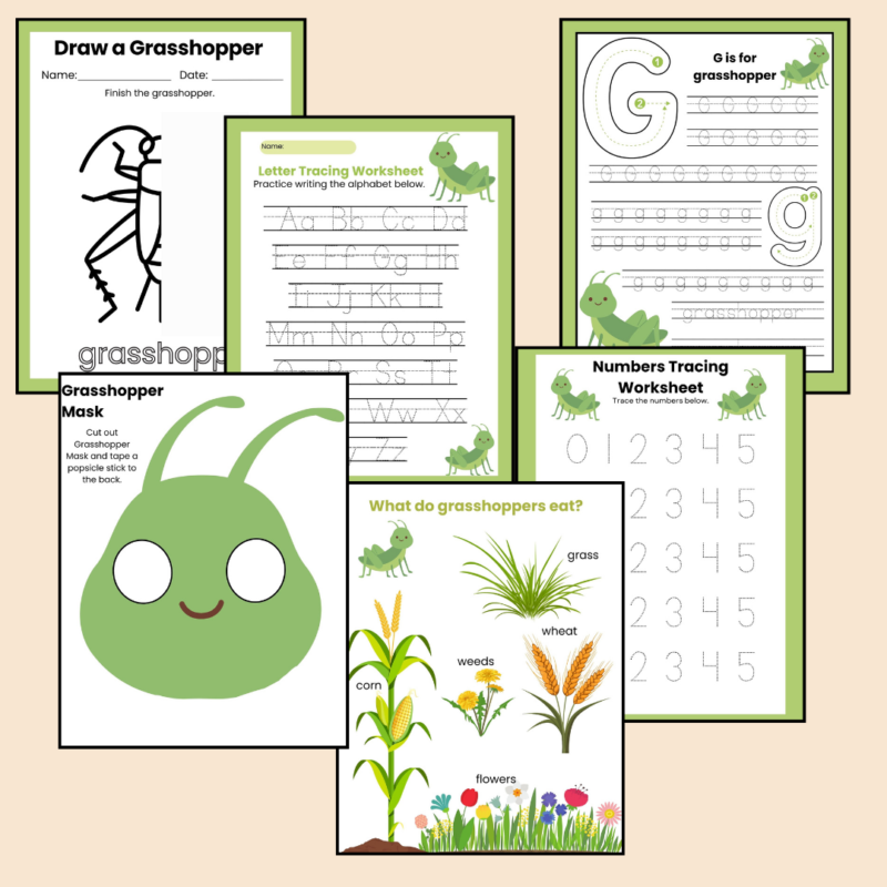 G is for Grasshopper Preschool Activity Bundle - Image 3