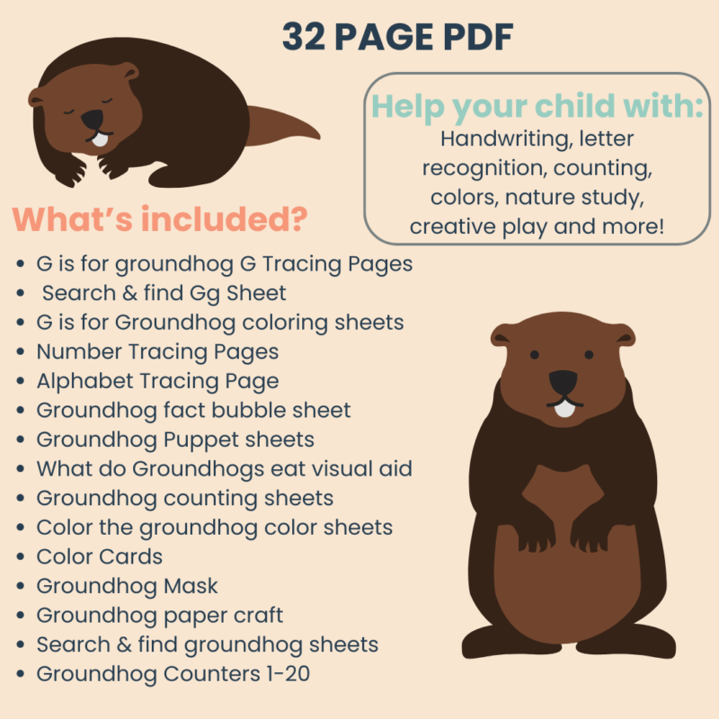 Groundhog Preschool Activity Bundle G is for Groundhog Groundhog Day - Image 2