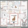 R is for Rabbit Preschool Activity Sheet Bundle Letter R Week Curriculum Kindergarten