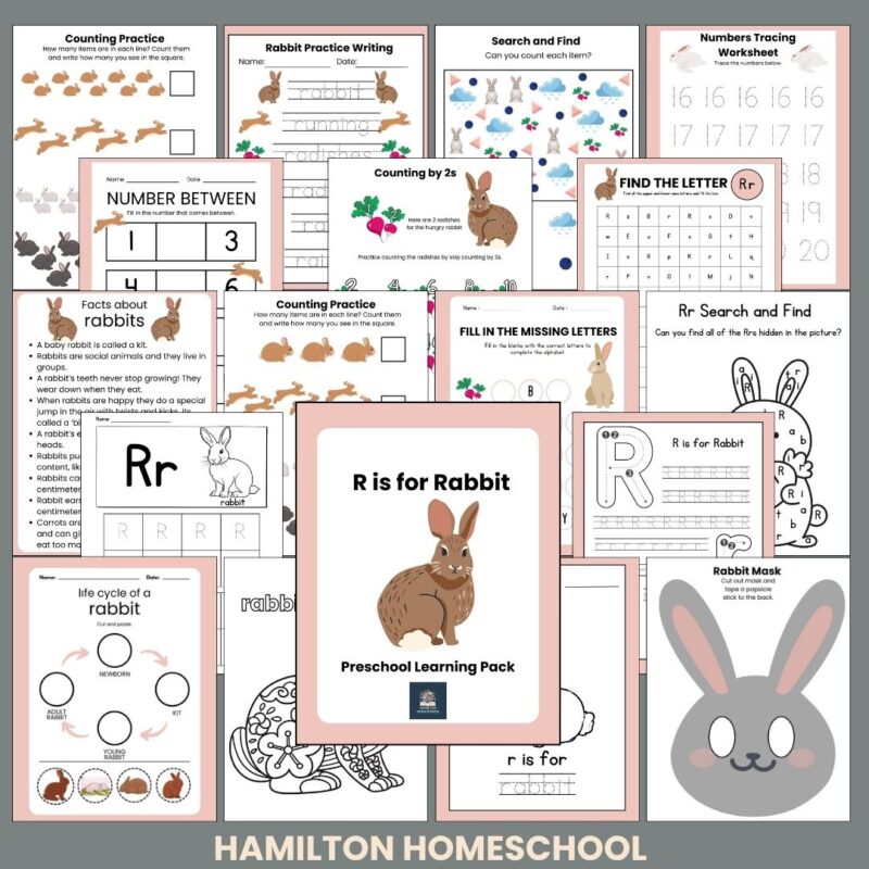 R is for Rabbit Preschool Activity Sheet Bundle Letter R Week Curriculum Kindergarten