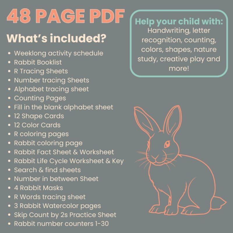 R is for Rabbit Preschool Activity Sheet Bundle Letter R Week Curriculum Kindergarten - Image 2