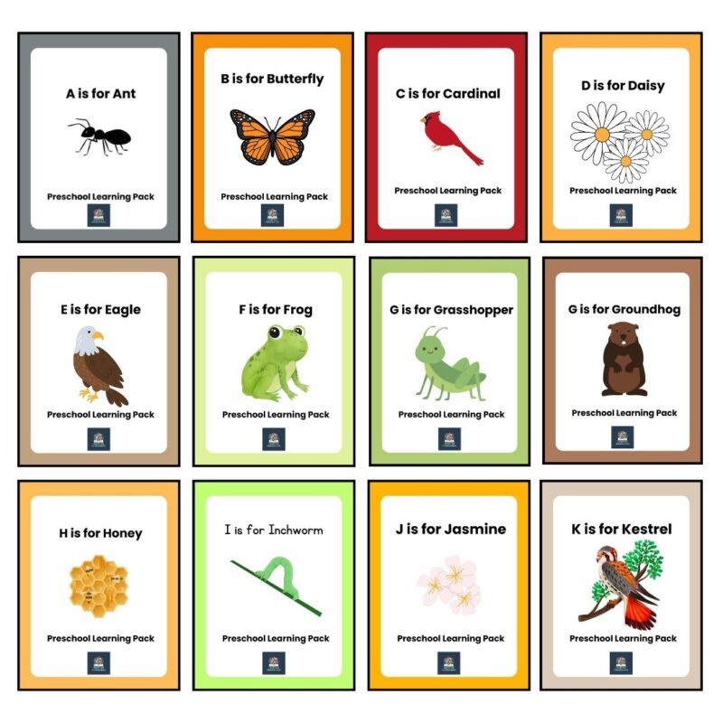 28 Week Alphabet Preschool Curriculum Backyard Nature Theme Activity Units - Image 2