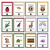 28 Week Alphabet Preschool Curriculum Backyard Nature Theme Activity Units - Image 3
