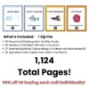 28 Week Alphabet Preschool Curriculum Backyard Nature Theme Activity Units - Image 4