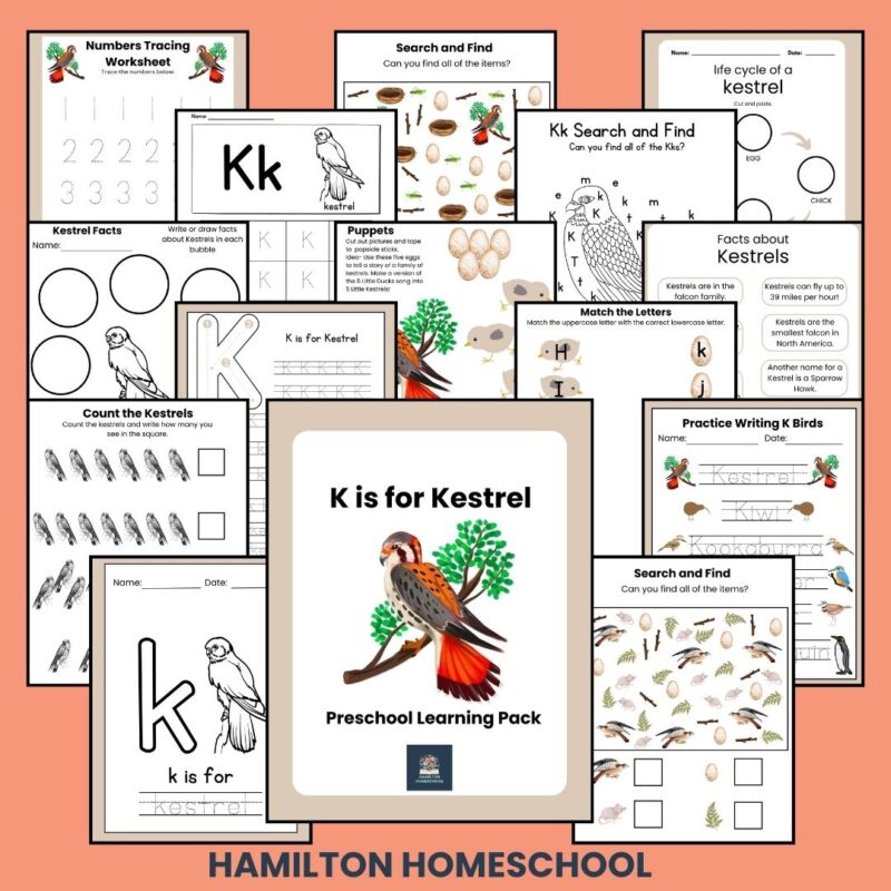 K is for Kestrel Preschool Activity Bundle