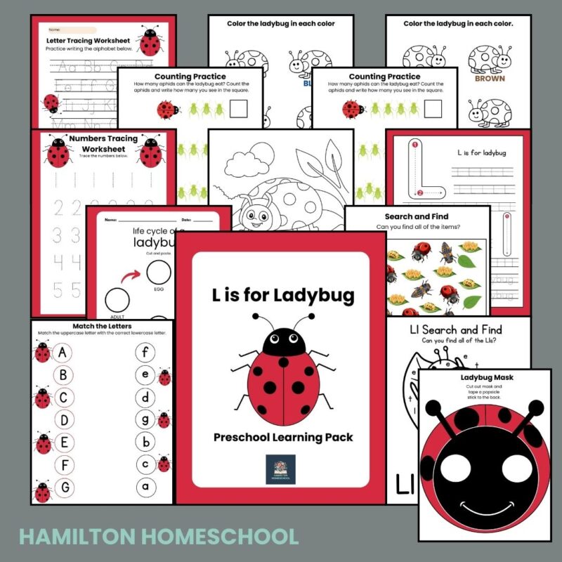 L is for Ladybug Preschool Activity Bundle Kindergarten Worksheet Bundle