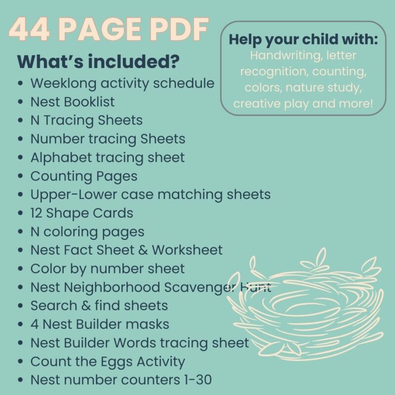 N is for Nest Preschool Activity Sheet Bundle Pre-K -Kindergarten Homeschool Curriculum - Image 5