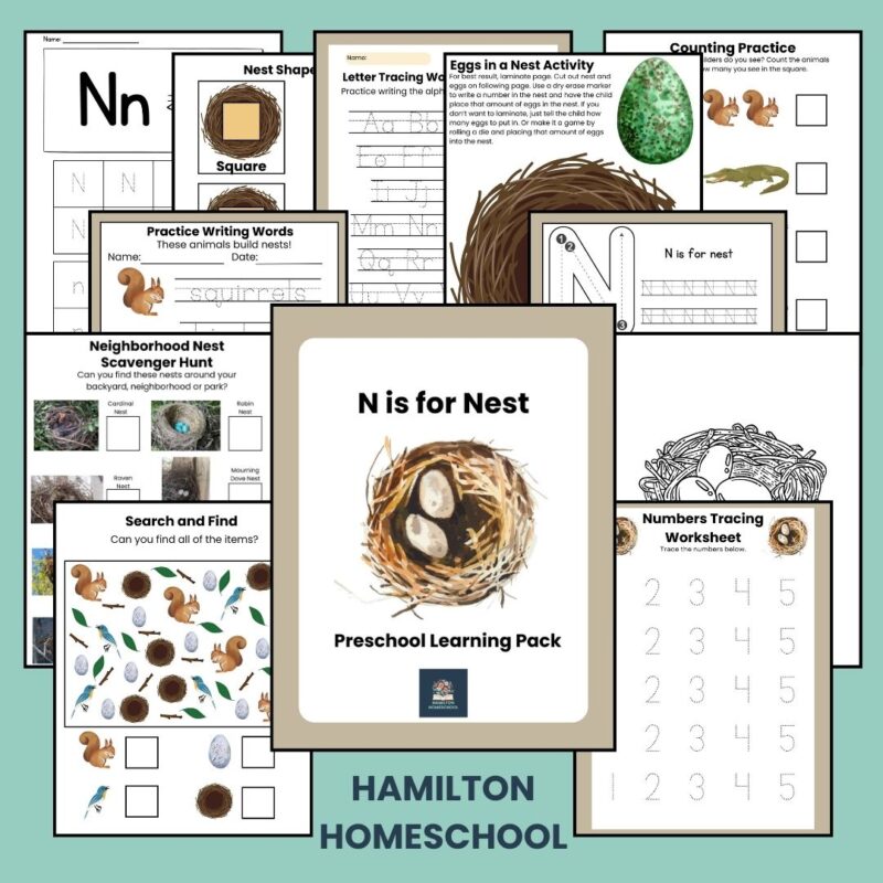 N is for Nest Preschool Activity Sheet Bundle Pre-K -Kindergarten Homeschool Curriculum