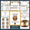O is for Owl Preschool Activity Sheet Bundle