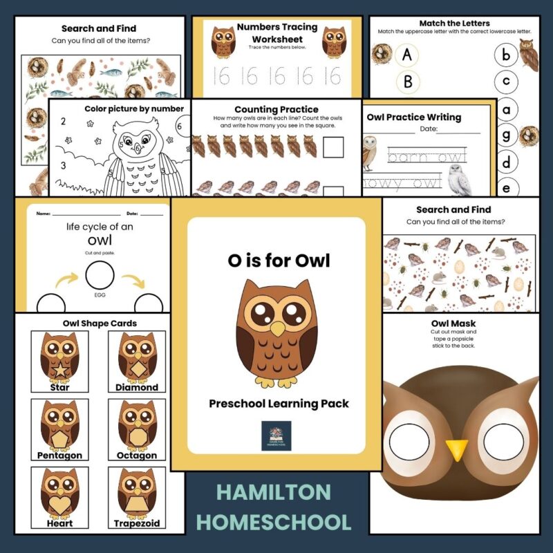 O is for Owl Preschool Activity Sheet Bundle