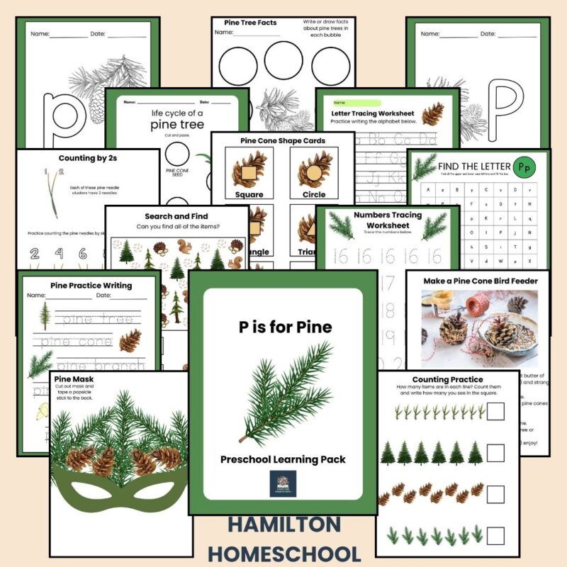 P is for Pine Preschool Kindergarten Activity Sheet Bundle Pine Tree Unit