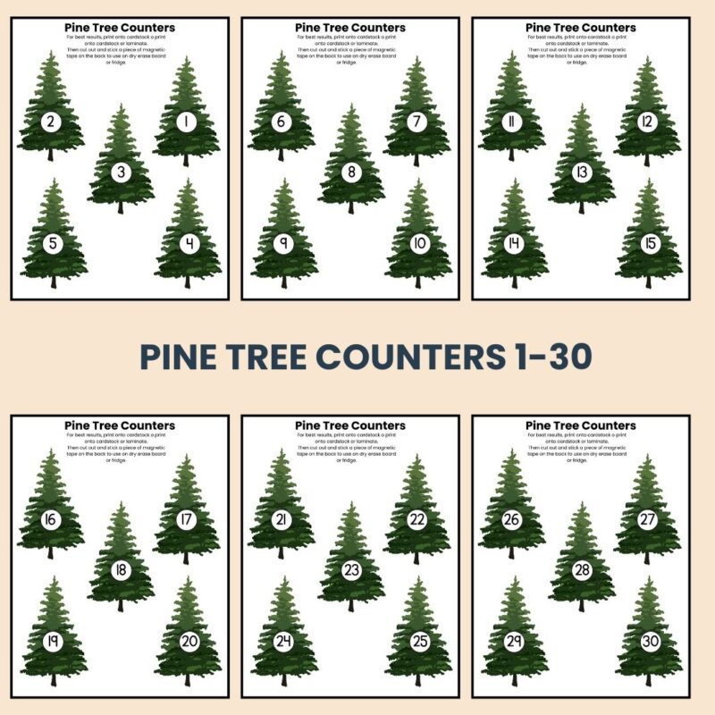 P is for Pine Preschool Kindergarten Activity Sheet Bundle Pine Tree Unit - Image 3