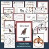 Q is for Quail Preschool Activity Bundle Learning Pack Preschool- Kindergarten Worksheets