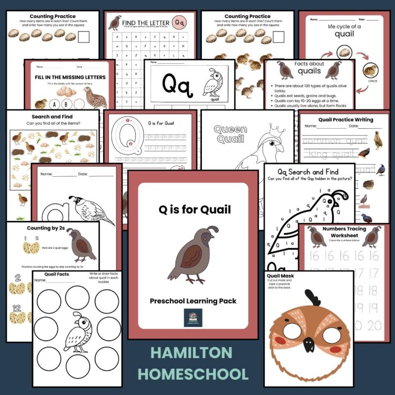 Q is for Quail Preschool Activity Bundle Learning Pack Preschool- Kindergarten Worksheets