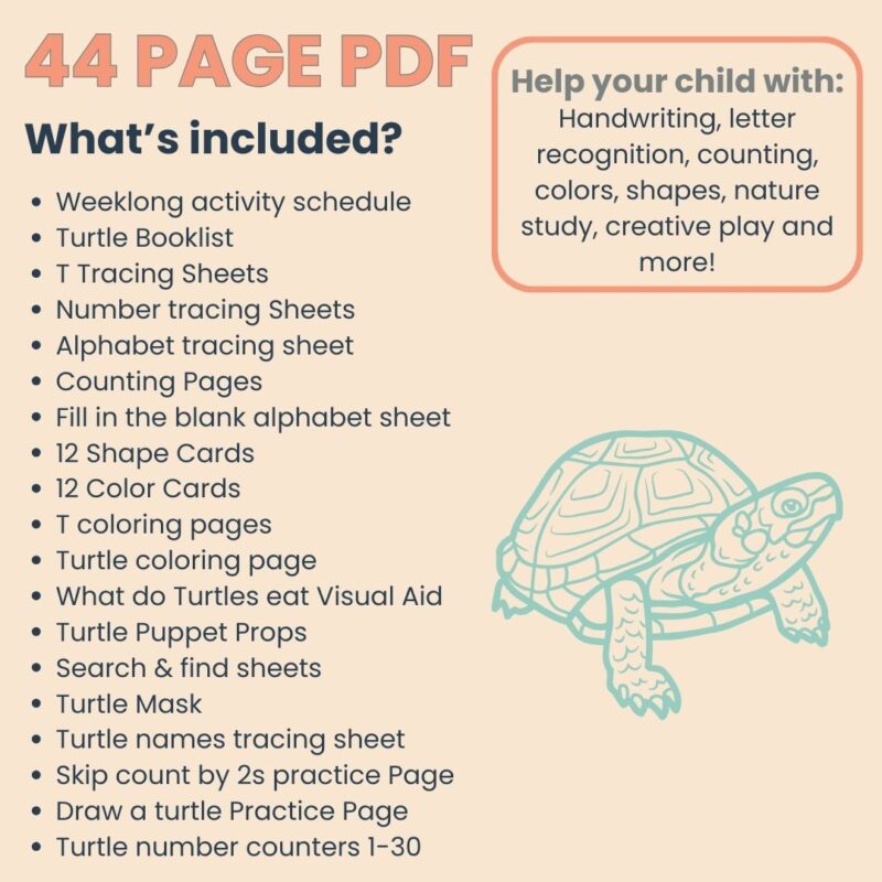 T is for Turtle Preschool Activity Sheets Bundle Letter T Turtle Unit Study Kindergarten Pre K - Image 5