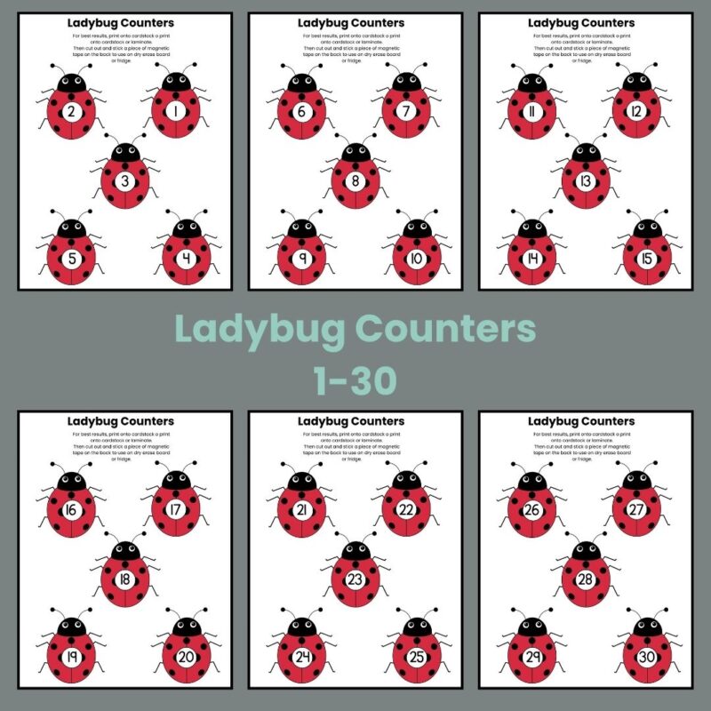 L is for Ladybug Preschool Activity Bundle Kindergarten Worksheet Bundle - Image 4