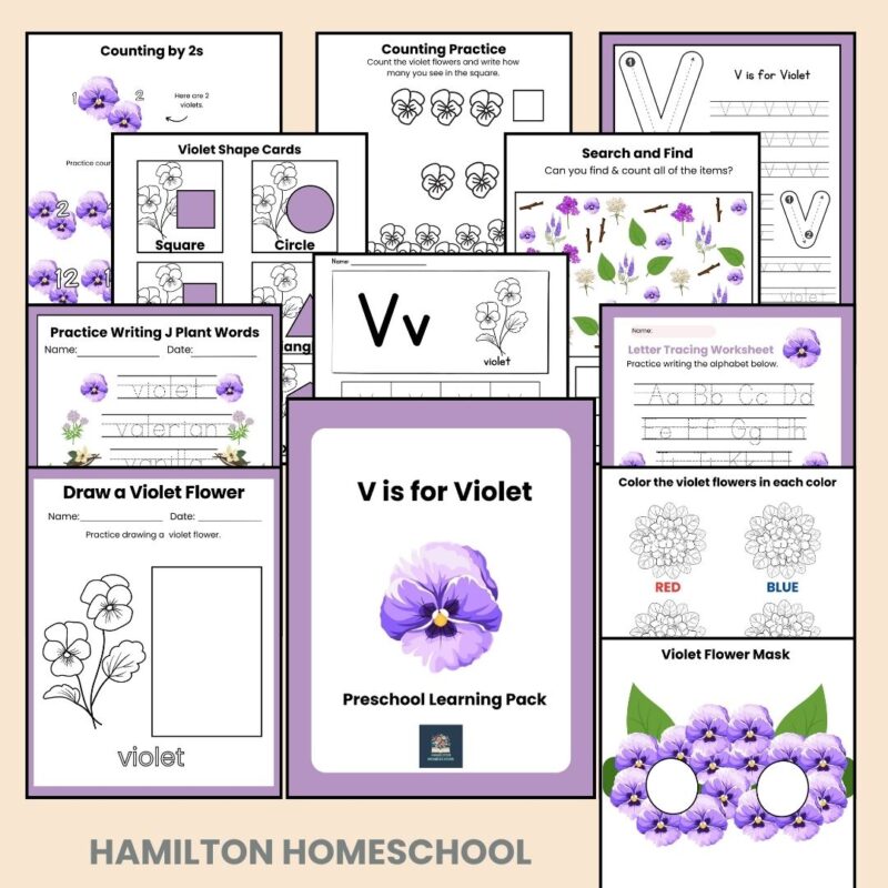 V is for Violet Preschool Activity Bundle Kindergarten Lesson