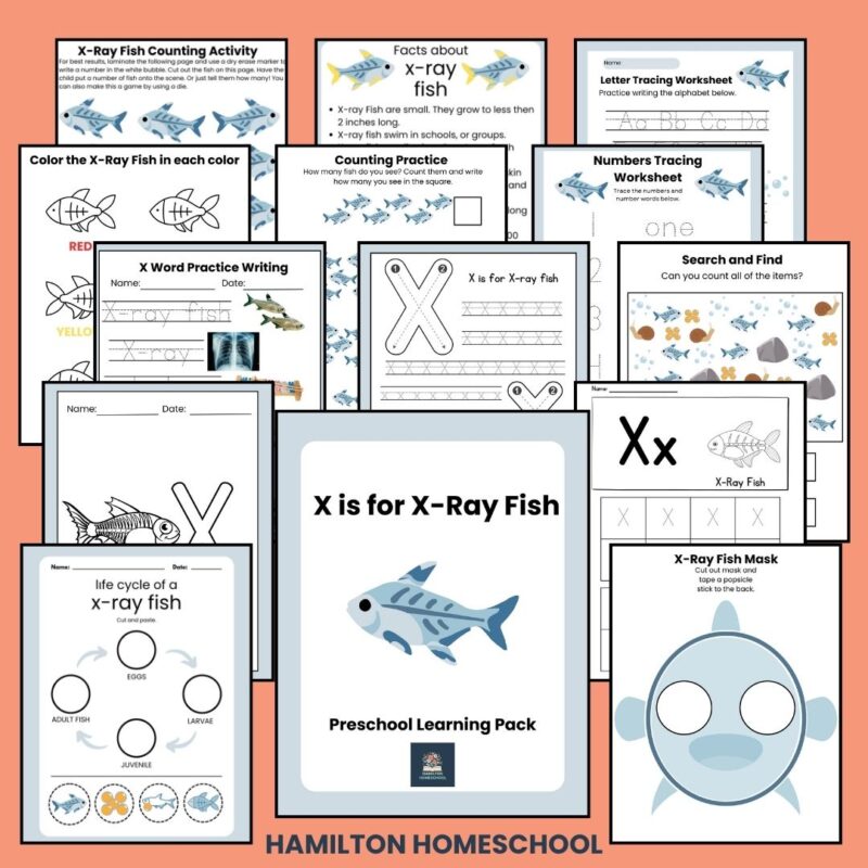 X is for X-Ray Fish Preschool Kindergarten Activity Sheets Bundle Letter X Week