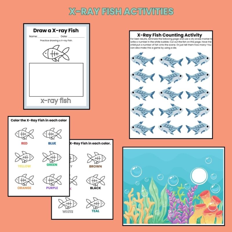 X is for X-Ray Fish Preschool Kindergarten Activity Sheets Bundle Letter X Week - Image 4