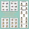 Y is for Yellowjacket Preschool Activity Sheet Bundle Pre-K Kindergarten Yellow Jacket Wasp Activity - Image 3