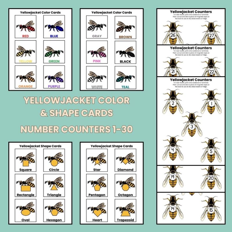 Y is for Yellowjacket Preschool Activity Sheet Bundle Pre-K Kindergarten Yellow Jacket Wasp Activity - Image 3