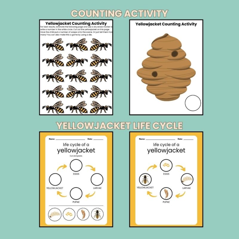 Y is for Yellowjacket Preschool Activity Sheet Bundle Pre-K Kindergarten Yellow Jacket Wasp Activity - Image 4