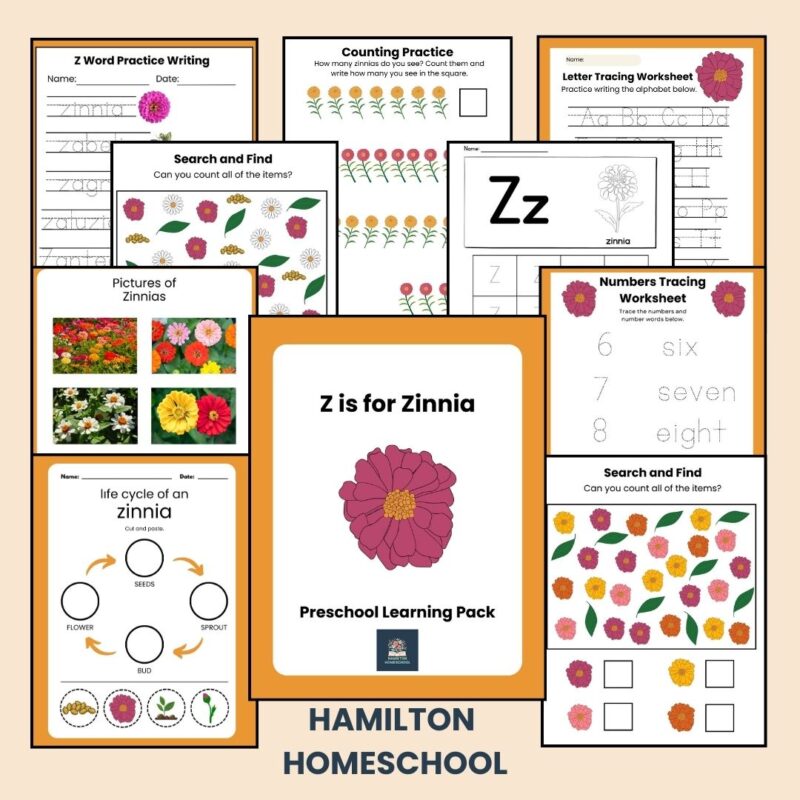 Z is for Zinnia Preschool Kindergarten Activity Sheets Bundle Z Week