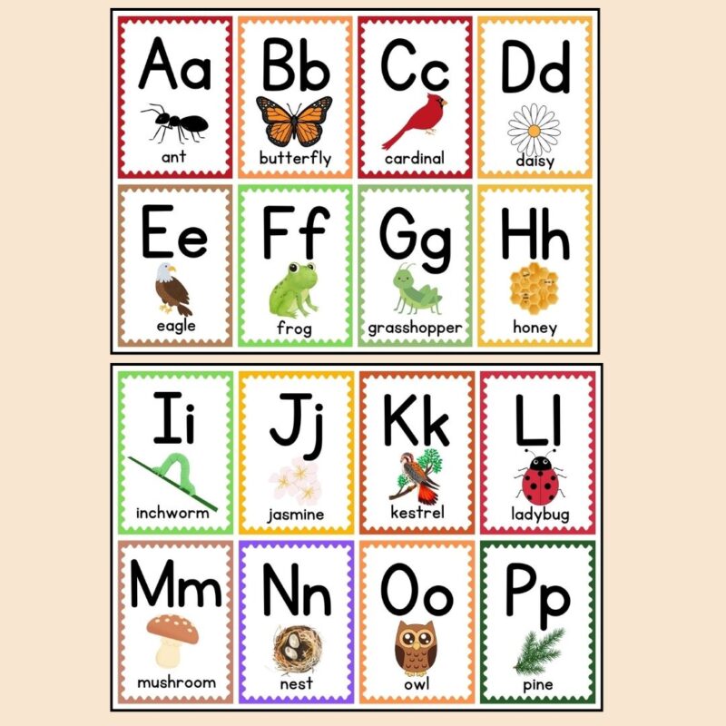 Nature Alphabet Flash Cards Backyard Nature Preschool ABC Cards - Image 3