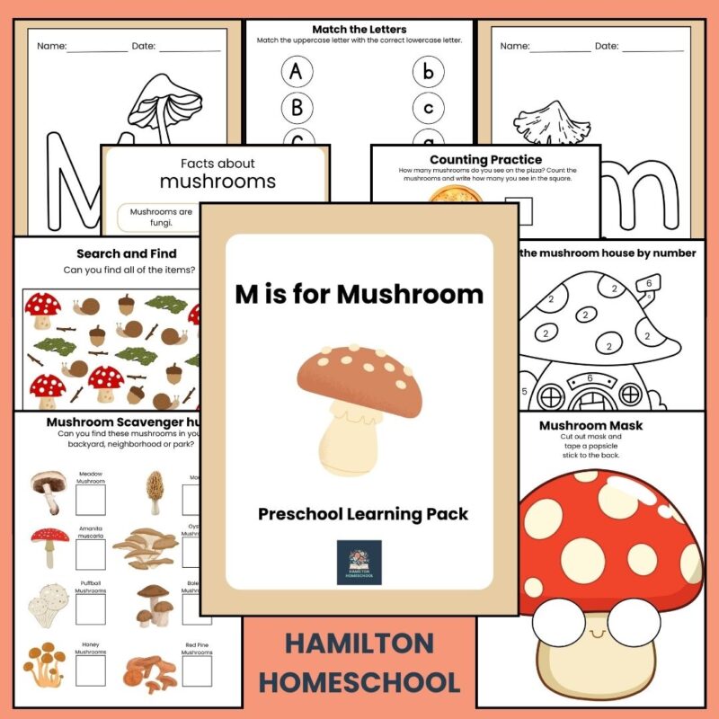 M is for Mushroom Preschool Activity Bundle Pre K- Kindergarten Worksheets