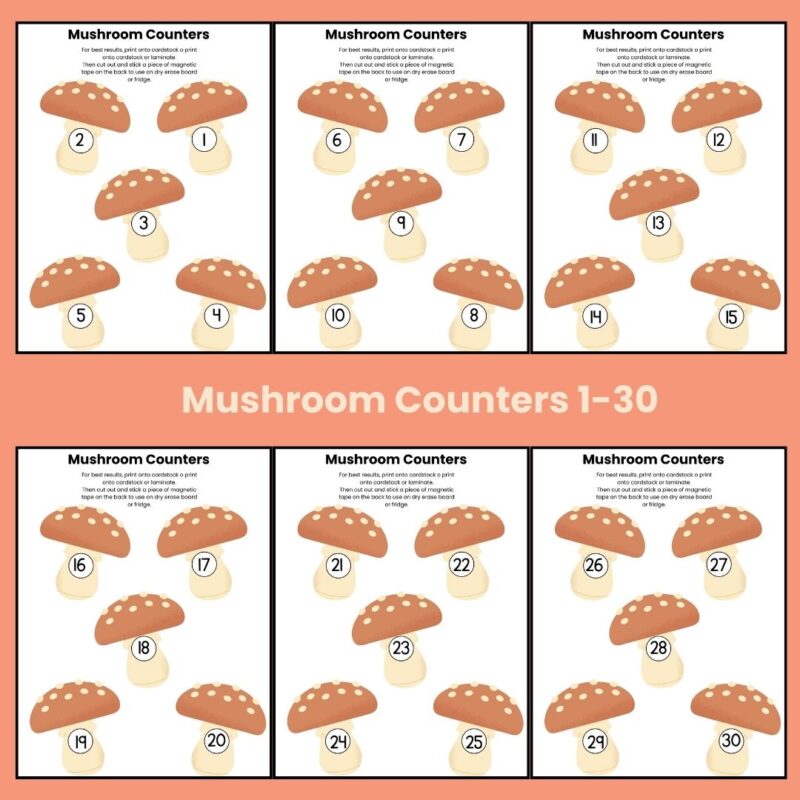 M is for Mushroom Preschool Activity Bundle Pre K- Kindergarten Worksheets - Image 4