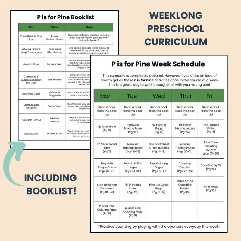 P is for Pine Preschool Kindergarten Activity Sheet Bundle Pine Tree Unit - Image 2