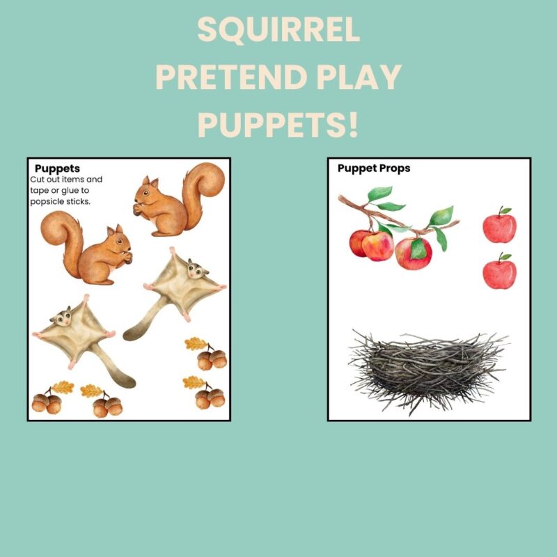 S is for Squirrel Preschool Activity Bundle Backyard Nature - Image 5