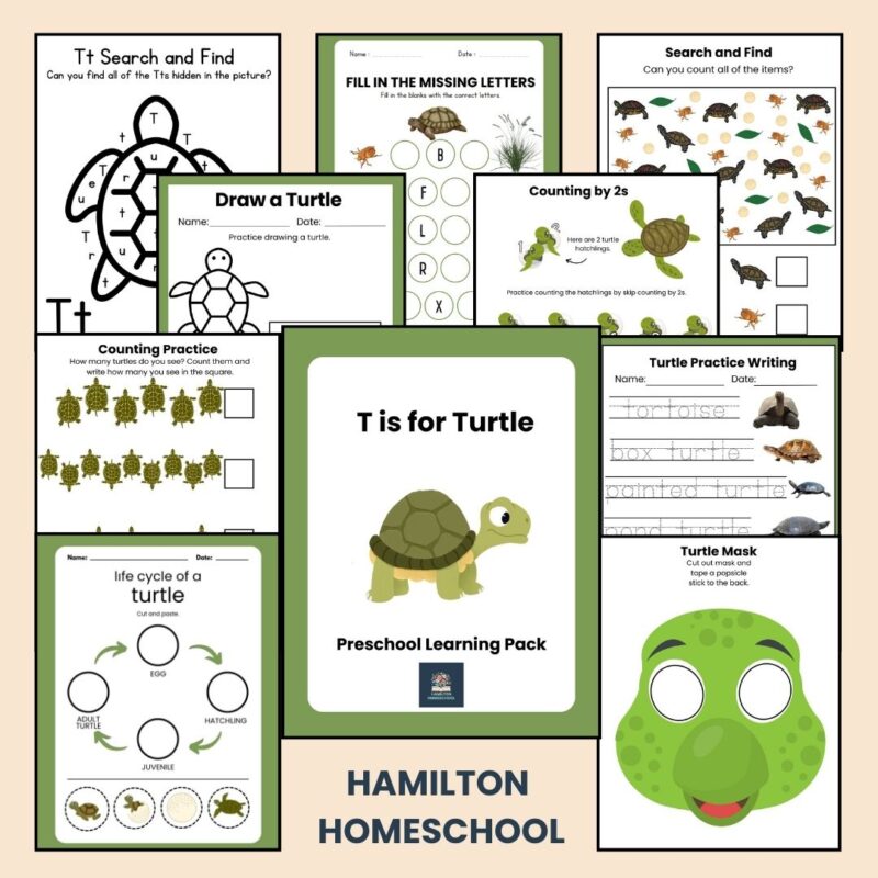 T is for Turtle Preschool Activity Sheets Bundle Letter T Turtle Unit Study Kindergarten Pre K