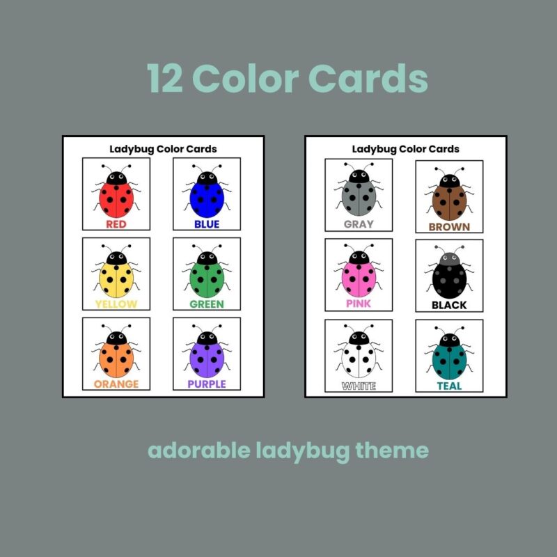 L is for Ladybug Preschool Activity Bundle Kindergarten Worksheet Bundle - Image 3