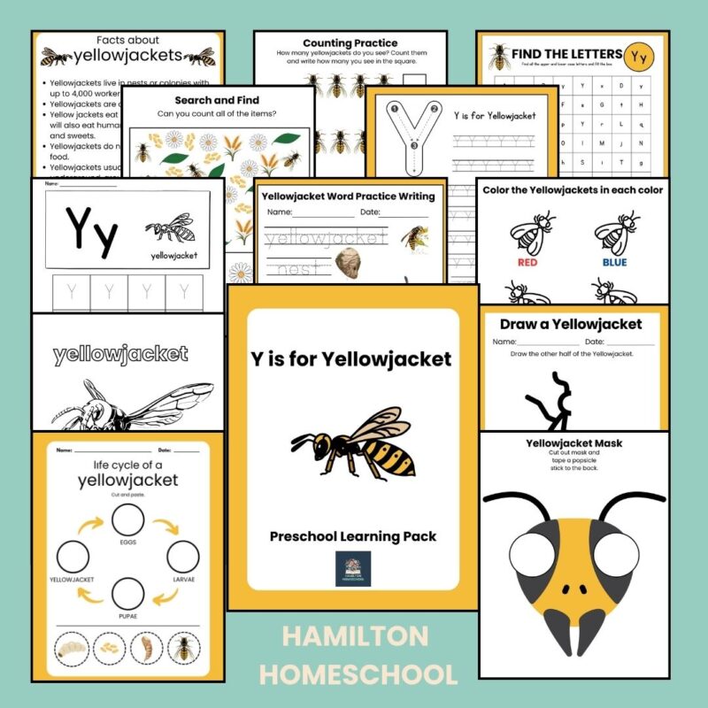 Y is for Yellowjacket Preschool Activity Sheet Bundle Pre-K Kindergarten Yellow Jacket Wasp Activity