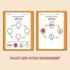 Z is for Zinnia Preschool Kindergarten Activity Sheets Bundle Z Week - Image 3